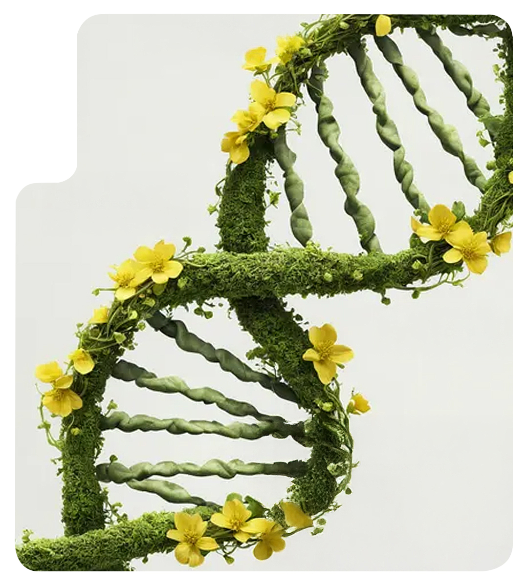 Forvex — Wachstum und Innovation